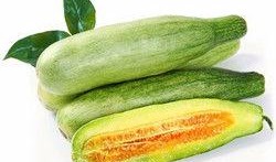 甜瓜乐园最新版大爆料,全新玩法与惊喜等你探索